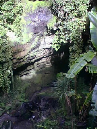 Cave garden